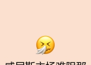 开云体育入口-尼斯主场战平兰斯，保级压力不减的简单介绍