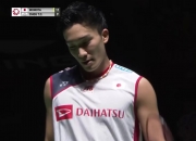 开云下载-德国队完胜丹麦队，桃田贤斗刷新纪录