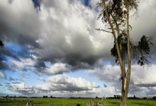 开云体育APP下载-门兴格拉德巴赫客场不敌了柏林赫塔，遗憾失利