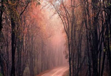 开云体育中国-马赛掀翻里昂，萨拉赫成为全场焦点，一场法甲经典之战的战术解析