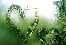 开云体育登录-奥运周期关键战，奇才强压深圳队，焦点战背后的战略博弈