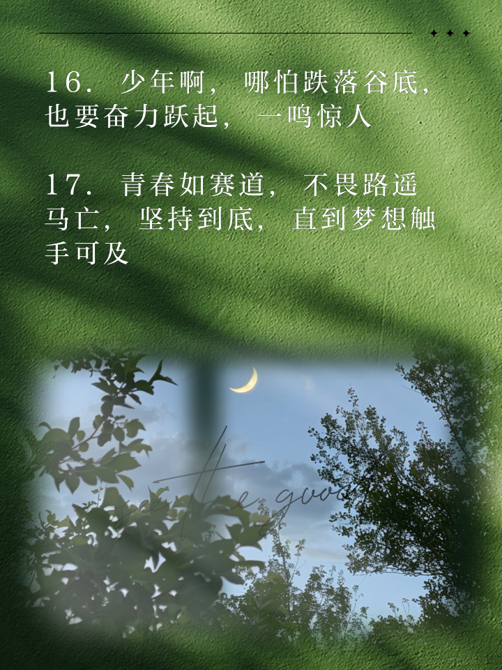 坚韧拼搏,青年军团疾风骤雨势如破竹!的简单介绍 坚韧拼搏,青年军团疾风骤雨势如破竹!的简单介绍