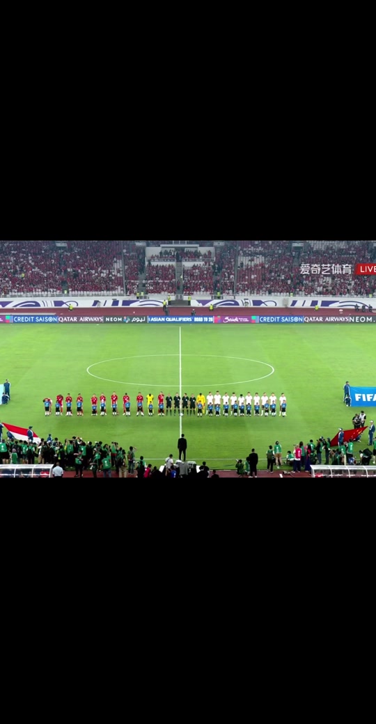 体育盛会吸引球迷目光，现场欢呼雷动的简单介绍