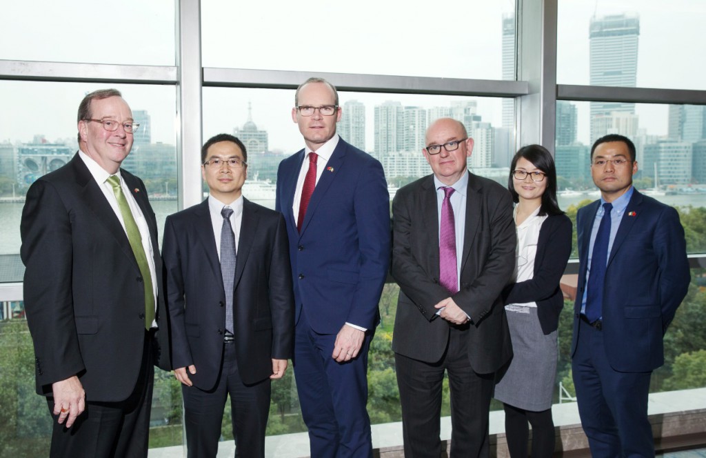 爱尔兰运动员大放异彩，赢得尊重的简单介绍