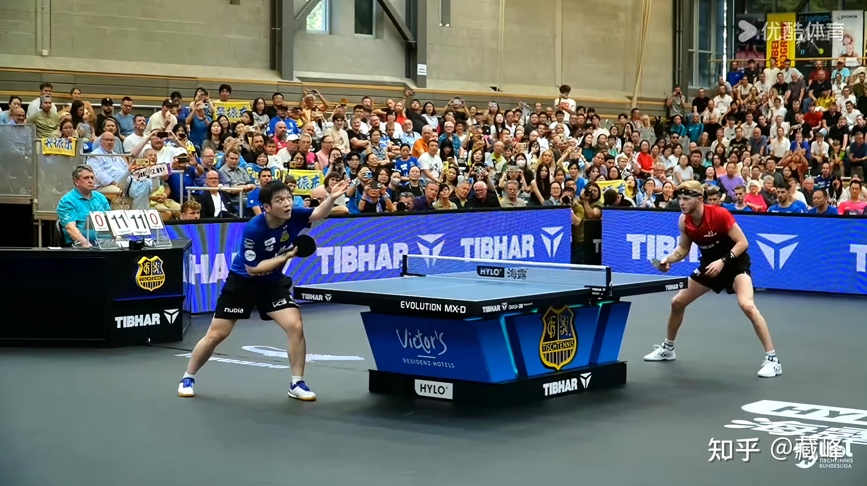 关于英国乒乓球队力克德国乒乓球队，樊振东爆发神勇的信息